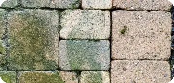 Pressure Cleaning in Perth